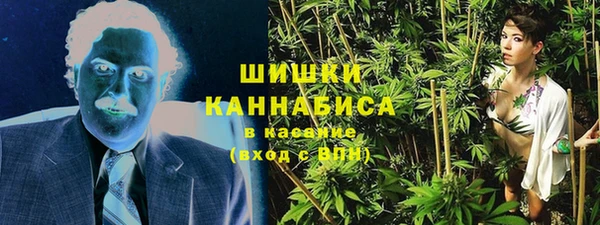 прущие грибы Аркадак
