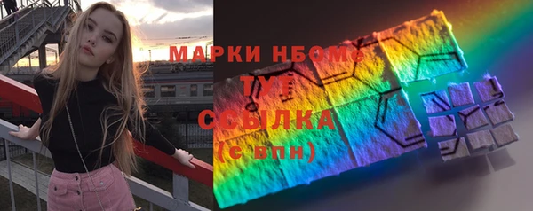 прущие грибы Аркадак