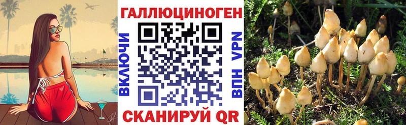 Галлюциногенные грибы Cubensis  KRAKEN зеркало  Жуковский 
